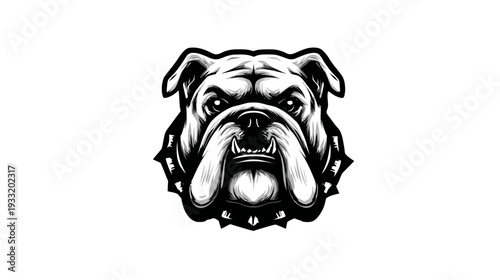 Fierce Bulldog Head Illustration with Bared Teeth and Spiked Collar, Black and White Vector Art, Powerful Animal Mascot Design