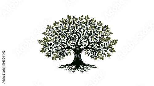Stylized olive tree illustration with strong roots and lush green leaves against a clean white background, symbolizing nature and growth