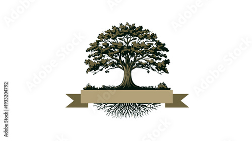 Vintage style tree illustration with roots and an empty banner on white. Rustic graphic emblem concept for growth and nature.