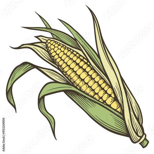 Partially husked yellow corn ear with green leaves
