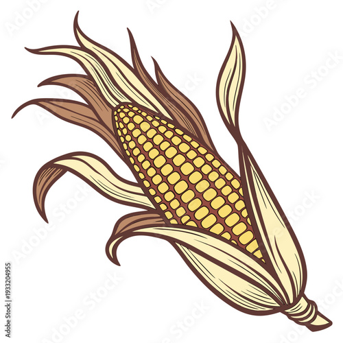 Single maize cob with dried leaf wrap and tassel corn