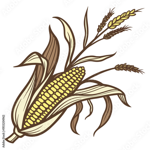 Single maize cob with dried leaf wrap and wheat ears