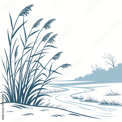 Winter marshland edge with thin ice sheets and frosty reeds