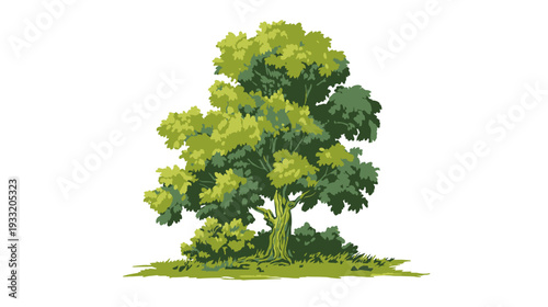 Vibrant green deciduous tree illustration with rich foliage, isolated on a white background. Organic nature plant graphic element.