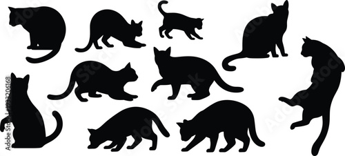 Collection of cat silhouettes in various poses isolated on white background, domestic feline pet vector illustration set for design use