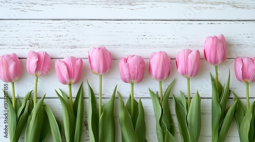 Pink Tulips Arranged in a Row on a Wooden Surface in Bright Light During the ...