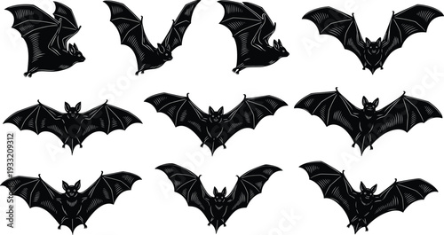 Bat silhouette set flying nocturnal animal collection isolated on white background Halloween wildlife vector