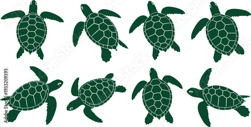 Sea turtle silhouette set top view, marine reptile vector illustration collection isolated on white background