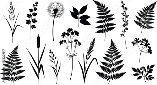 Black botanical silhouettes collection with fern leaves, dandelion, cattails and wildflowers isolated on white background, minimalist floral vector set for logo, print and decor design