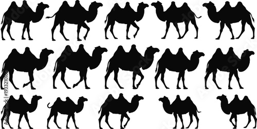 Camel silhouette collection walking desert dromedary animal poses isolated on white background vector set