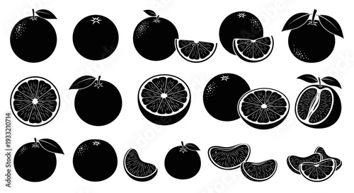Black and white illustration of whole and sliced oranges in various arrangements