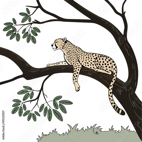 Cheetah resting on tree branch with green leaves wildlife