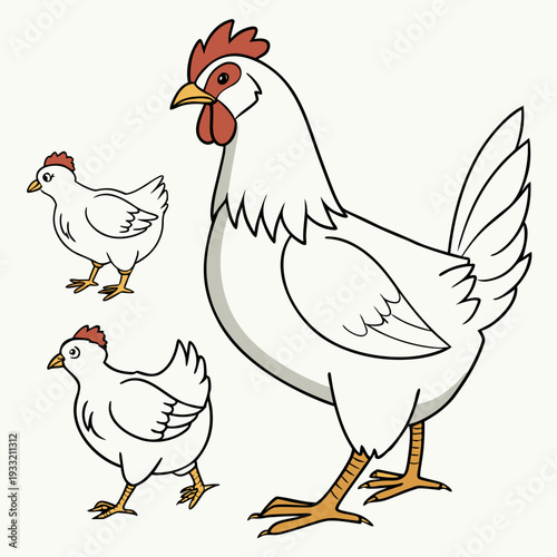 White chickens with red combs and yellow beaks and feet