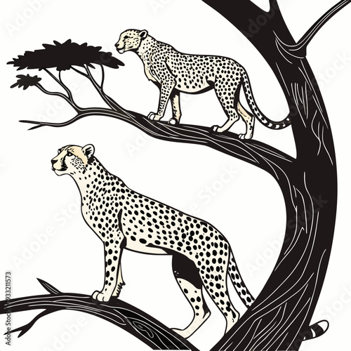 Two cheetahs standing on tree branches in black and white