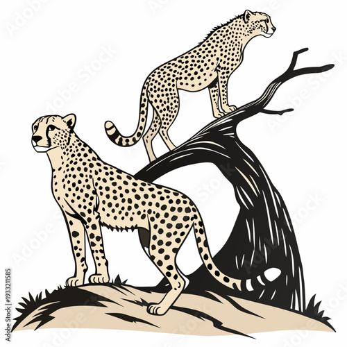 Two cheetahs standing on tree stump and branch spotted