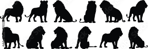 Collection of lion silhouettes in various poses isolated on white background, African wildlife predator vector illustration set