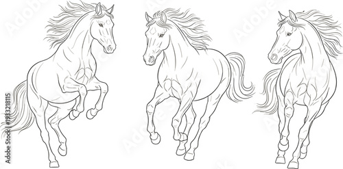 Running Horse Line Art Illustration Set with Elegant Galloping Stallions for Equestrian Sports Ranch Farm and Vintage Vector Design Collection