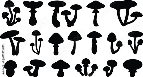 Collection of mushroom silhouettes in various shapes isolated on white background, botanical fungus vector illustration set for design and decoration