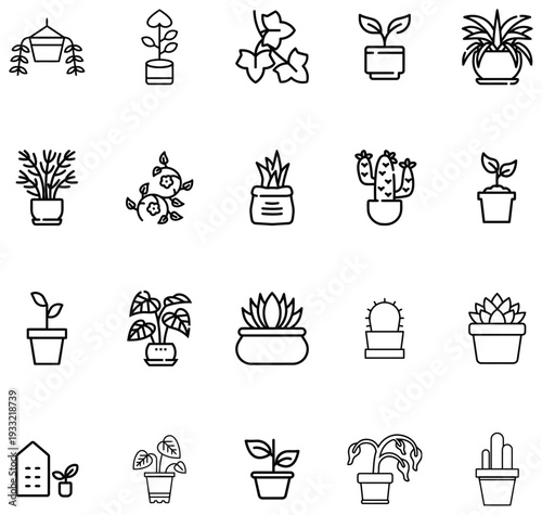 Collection of potted plant featuring various houseplants succulents and cacti