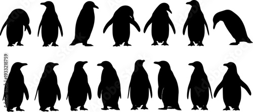 Silhouette of penguins standing in two rows