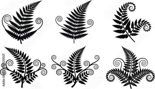 Fern silhouette set decorative botanical foliage collection isolated on white background vector
