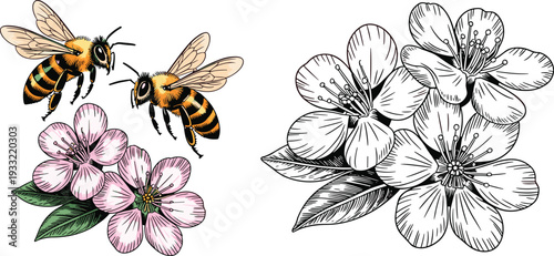 Honey bees pollinating blooming flowers vector illustration with detailed floral line art set