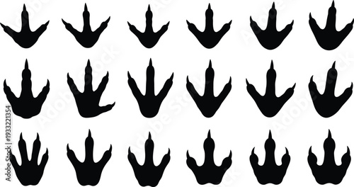 Set of bird footprint silhouettes isolated on white background for wildlife tracking design