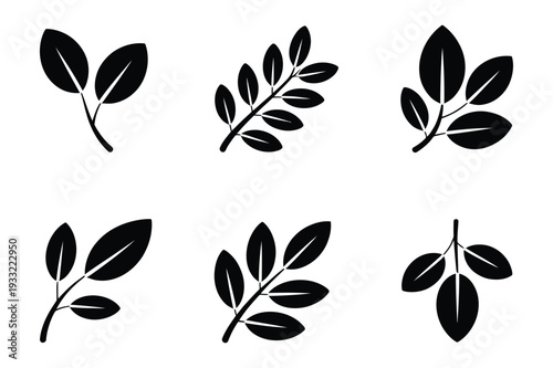 Branch and Leaf Icons: Botany, Nature, and Organic Design Symbols