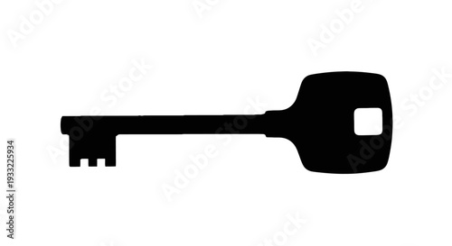 A stark silhouette of a classic key against a white background