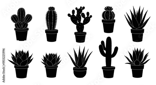 Collection of various potted cacti silhouettes in a black and white style