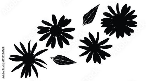Black silhouette of daisy flowers with leaves on transparent background pattern
