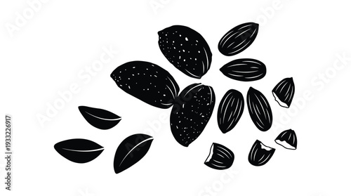 Collection of almonds nuts and shells isolated on transparent background vector