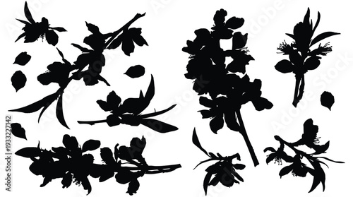 Almond branch silhouette collection with spring blossoms and falling leaf parts