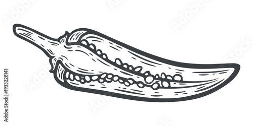 Chilli pepper sliced, hot spice with seeds, black and white illustration, engraving isolated
