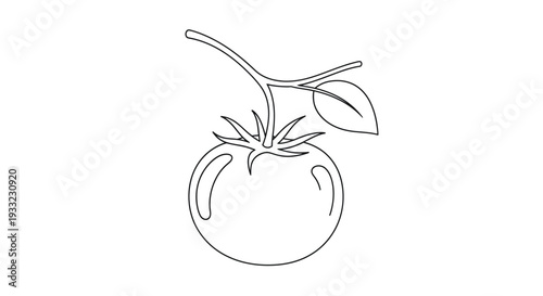 Continuous Line Drawing of a Fresh Ripe Tomato with Stem and Leaf on Vine