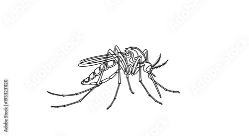 Continuous Line Drawing of a Mosquito, Insect and Disease Vector Concept.