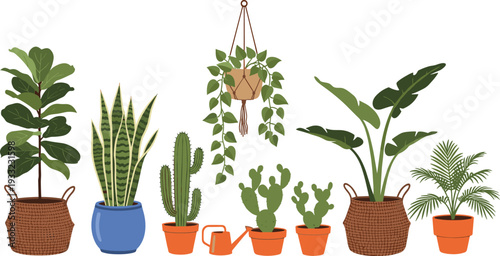 Indoor houseplants in pots collection, tropical home plants and cacti in wicker baskets, modern interior decor vector illustration set
