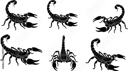 Collection of black scorpion silhouettes in various poses including defensive, crawling, and overhead views,