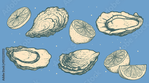 Oysters and lemon slices set. Hand drawn sketch style drawings on blue background. Vintage retro seafood market design elements. Vector illustrations.