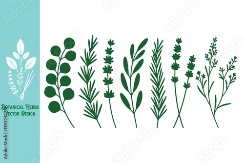 Assorted green herb silhouettes featuring rosemary, lavender, and eucalyptus. Minimalist botanical collection for aromatherapy, wellness, and spice labels. Vector illustration