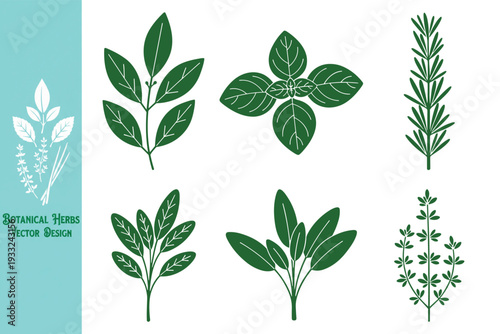 Set of herbs vector. Set of dark green herbal leaf silhouettes for spice and tea packaging. Elegant botanical symbols for organic food, natural medicine, and culinary themes. Vector illustration