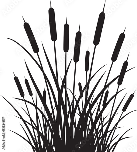 Black silhouette of cattails on white background
