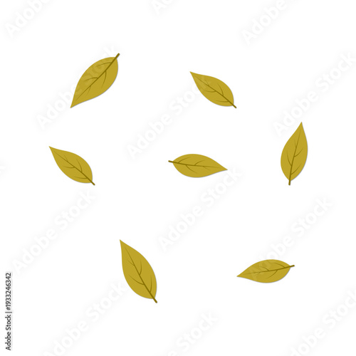 Illustration of Scattered Dry Leaves