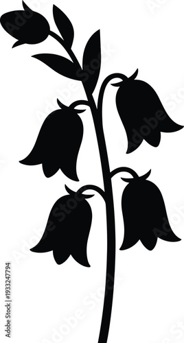 Bellflower silhouette illustration, campanula floral plant icon, black botanical vector isolated on white background decorative design element