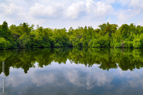 Serene River Landscape in Sri Lanka with Exotic Vegetation