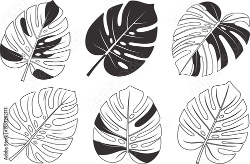 Summer vibes monstera leaves illustrations for warm weather decor