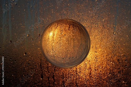 water drops on the ground