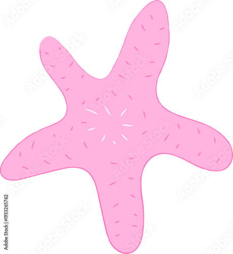 Cute Hand Drawn Pink Sea Star Marine Life Illustration