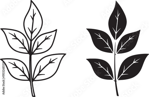 Black and white silhouette of plant leaves with stems also transparent background