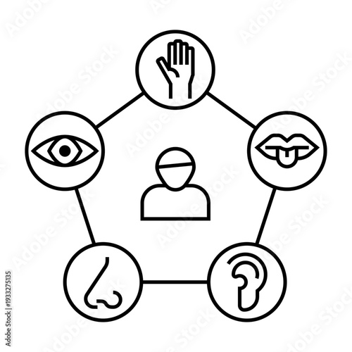 Icono de usuario y cinco sentidos del cuerpo humano. vista, oído, olfato, gusto, tacto. Ilustración vectorial lineal